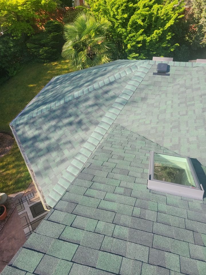 Roof Repair and Maintenance